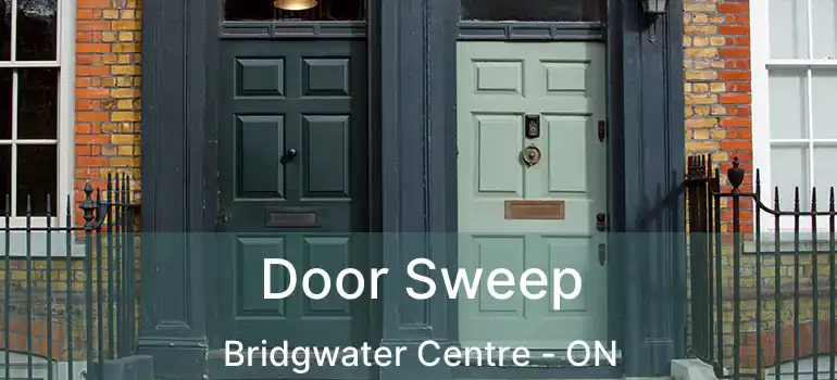  Door Sweep Bridgwater Centre - ON