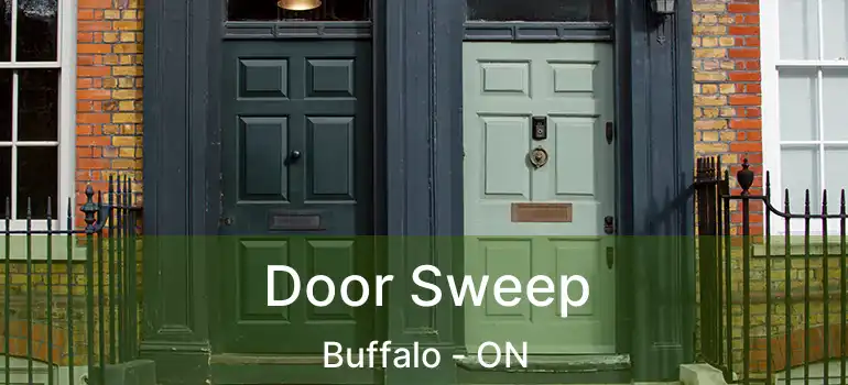  Door Sweep Buffalo - ON