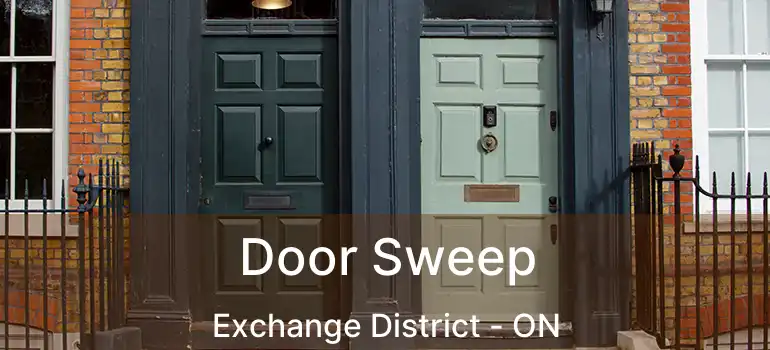  Door Sweep Exchange District - ON