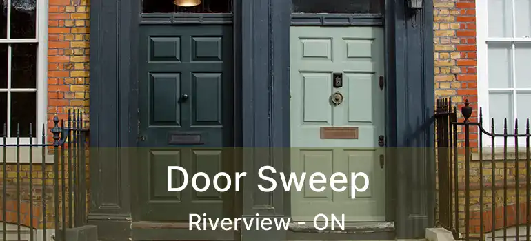  Door Sweep Riverview - ON