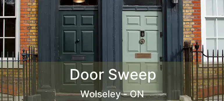  Door Sweep Wolseley - ON
