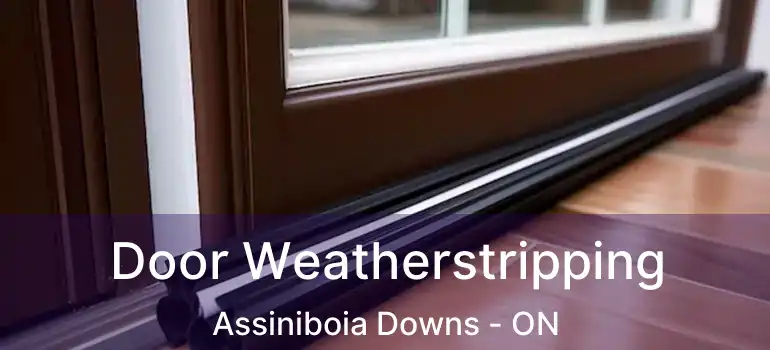  Door Weatherstripping Assiniboia Downs - ON