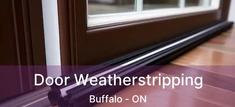  Door Weatherstripping Buffalo - ON