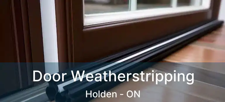  Door Weatherstripping Holden - ON
