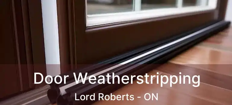  Door Weatherstripping Lord Roberts - ON