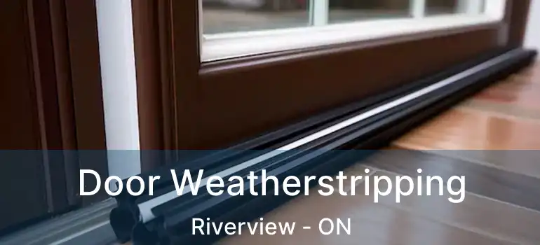  Door Weatherstripping Riverview - ON