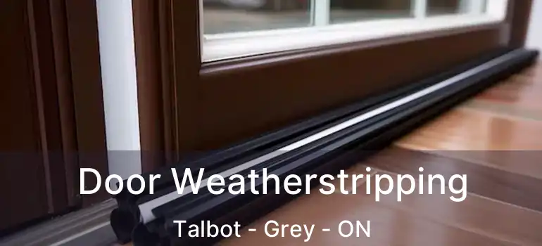  Door Weatherstripping Talbot - Grey - ON