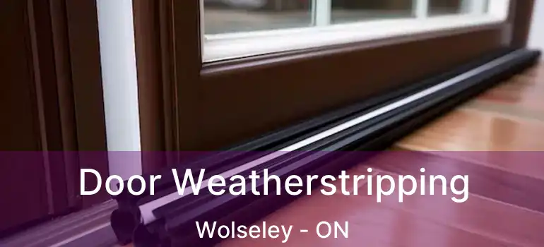  Door Weatherstripping Wolseley - ON