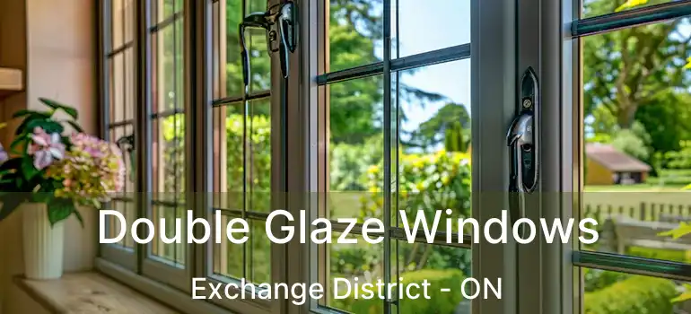  Double Glaze Windows Exchange District - ON
