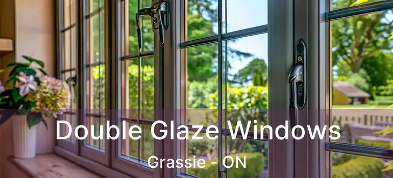  Double Glaze Windows Grassie - ON