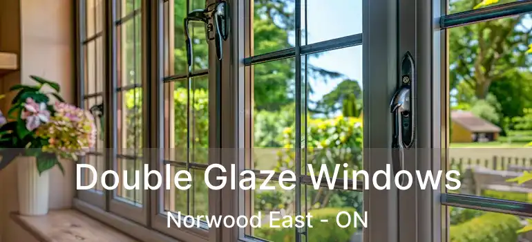  Double Glaze Windows Norwood East - ON