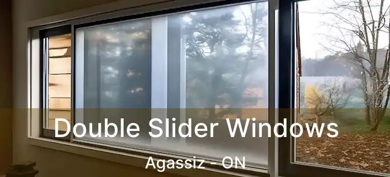  Double Slider Windows Agassiz - ON