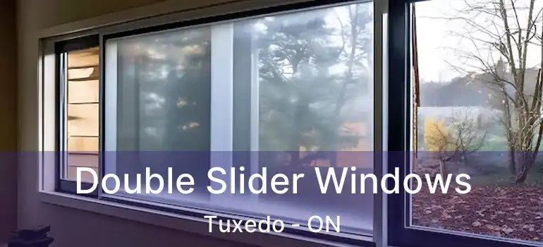  Double Slider Windows Tuxedo - ON