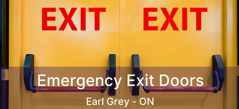  Emergency Exit Doors Earl Grey - ON