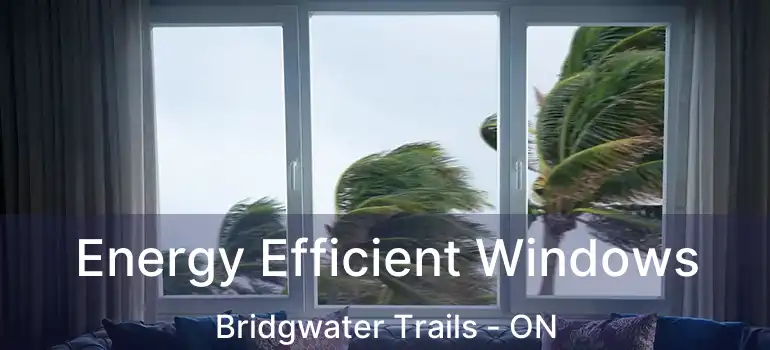  Energy Efficient Windows Bridgwater Trails - ON