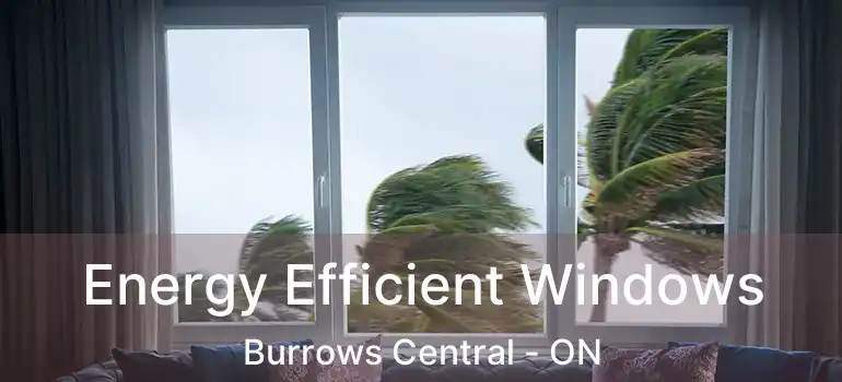  Energy Efficient Windows Burrows Central - ON