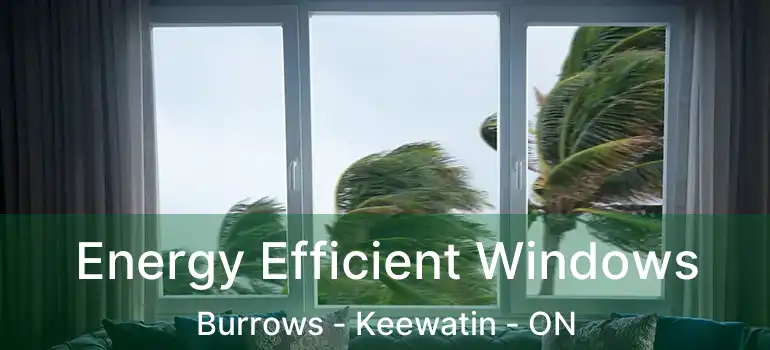  Energy Efficient Windows Burrows - Keewatin - ON