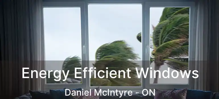  Energy Efficient Windows Daniel McIntyre - ON