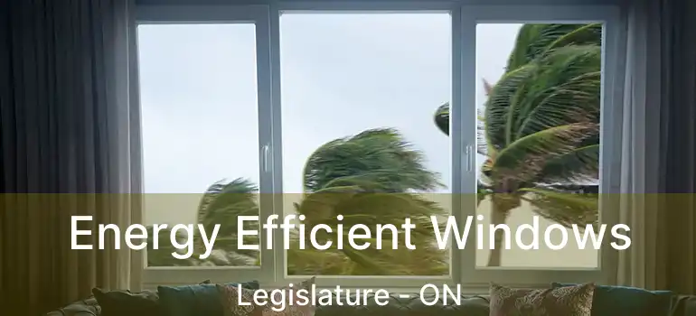  Energy Efficient Windows Legislature - ON