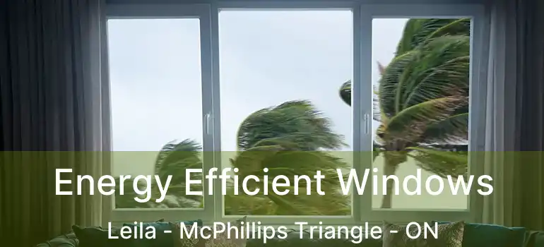  Energy Efficient Windows Leila - McPhillips Triangle - ON