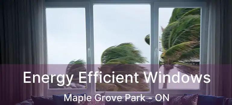  Energy Efficient Windows Maple Grove Park - ON