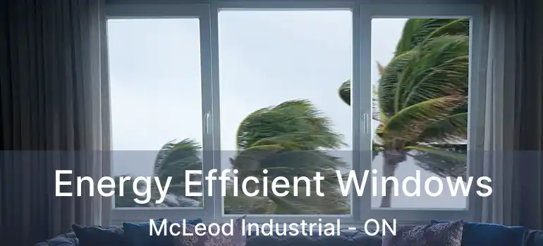  Energy Efficient Windows McLeod Industrial - ON