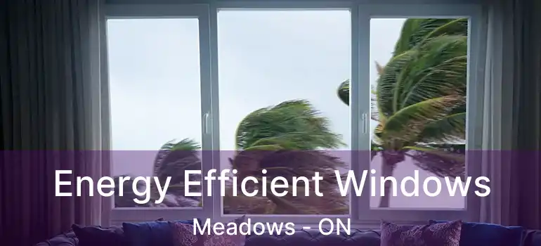 Energy Efficient Windows Meadows - ON