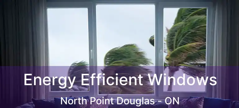  Energy Efficient Windows North Point Douglas - ON