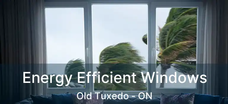  Energy Efficient Windows Old Tuxedo - ON