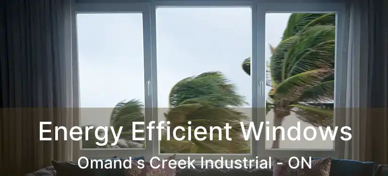 Energy Efficient Windows Omand s Creek Industrial - ON