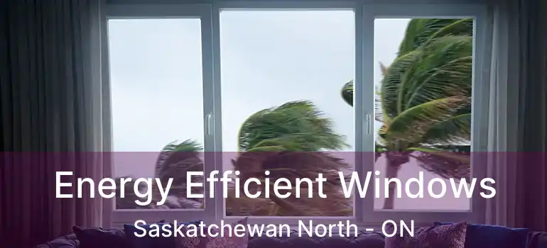  Energy Efficient Windows Saskatchewan North - ON