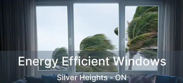  Energy Efficient Windows Silver Heights - ON