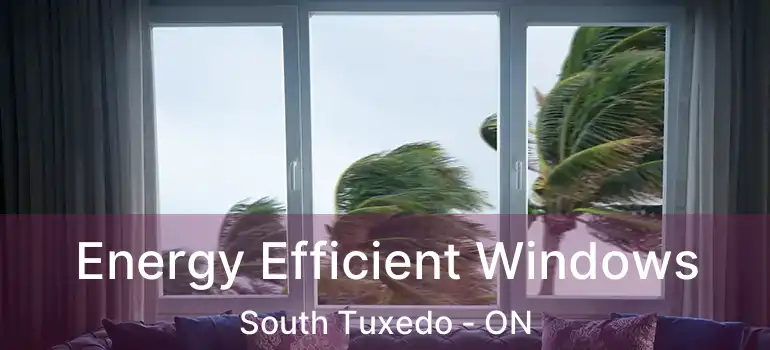  Energy Efficient Windows South Tuxedo - ON