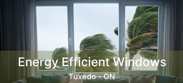  Energy Efficient Windows Tuxedo - ON