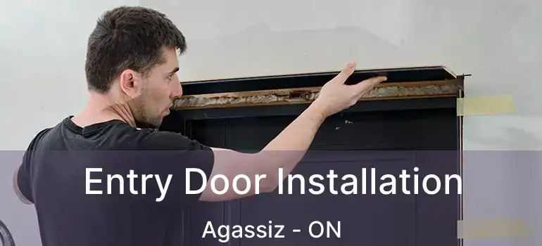  Entry Door Installation Agassiz - ON