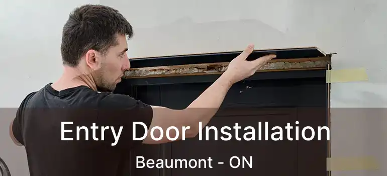  Entry Door Installation Beaumont - ON