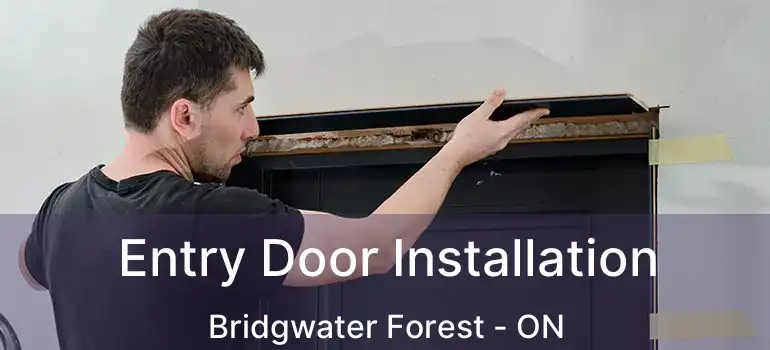  Entry Door Installation Bridgwater Forest - ON