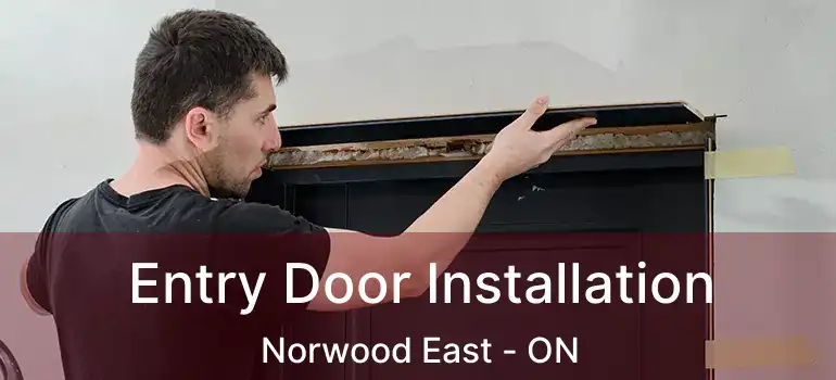  Entry Door Installation Norwood East - ON