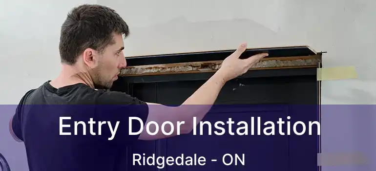  Entry Door Installation Ridgedale - ON