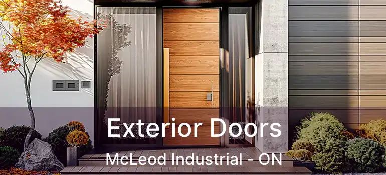  Exterior Doors McLeod Industrial - ON