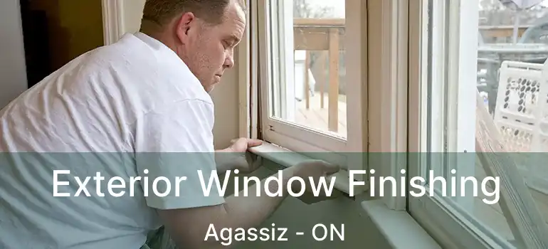  Exterior Window Finishing Agassiz - ON