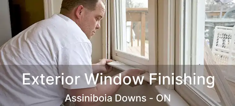  Exterior Window Finishing Assiniboia Downs - ON