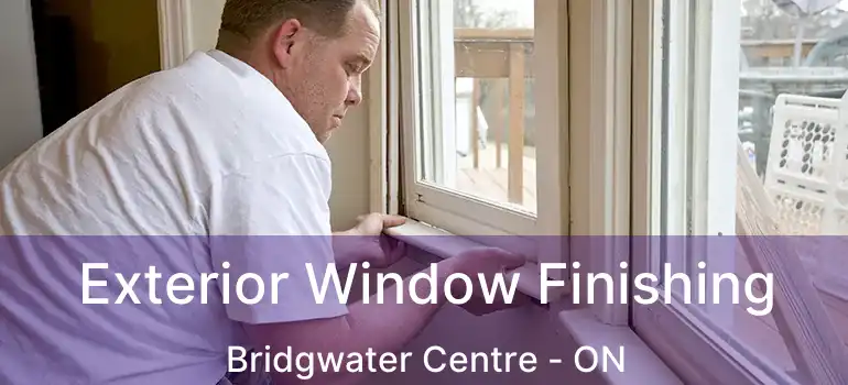  Exterior Window Finishing Bridgwater Centre - ON