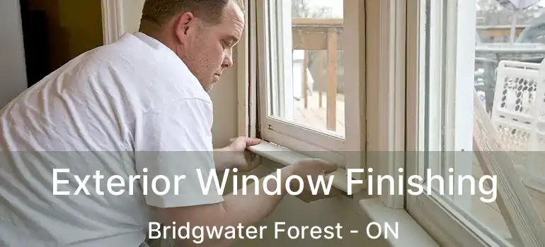  Exterior Window Finishing Bridgwater Forest - ON