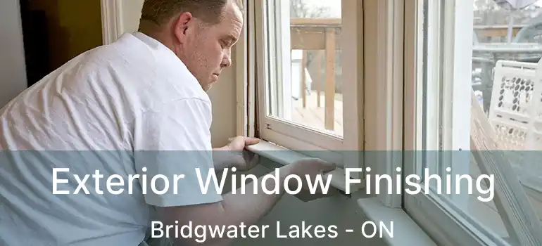  Exterior Window Finishing Bridgwater Lakes - ON