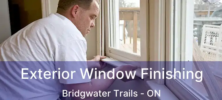  Exterior Window Finishing Bridgwater Trails - ON