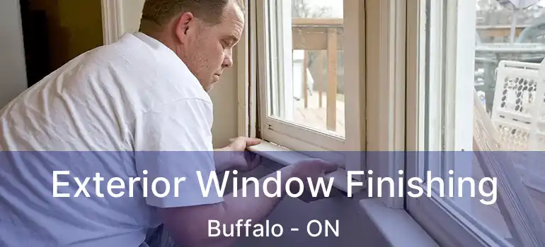 Exterior Window Finishing Buffalo - ON