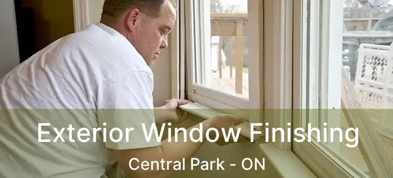  Exterior Window Finishing Central Park - ON