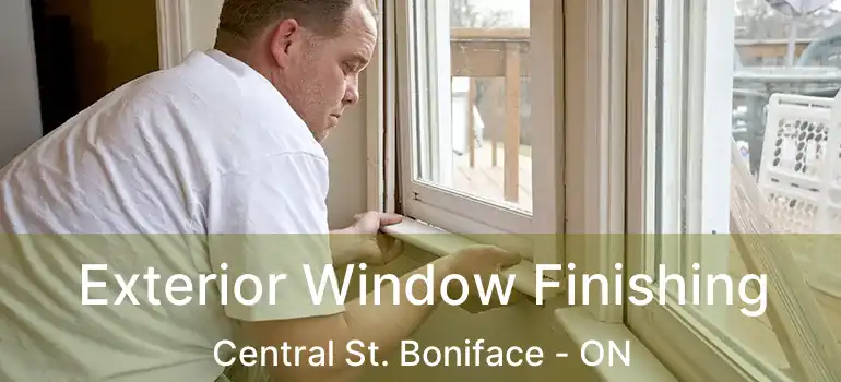  Exterior Window Finishing Central St. Boniface - ON