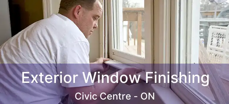  Exterior Window Finishing Civic Centre - ON